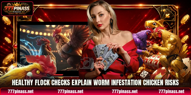 Healthy flock checks explain Worm Infestation Chicken risks Healthy flock checks explain Worm Infestation Chicken risks