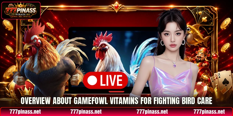Overview about Gamefowl Vitamins for fighting bird care Overview about Gamefowl Vitamins for fighting bird care